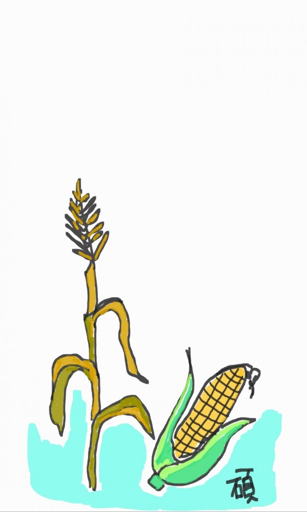 a93404d490a18f01dd68ce3544bee4bd_1692695811_86.jpg