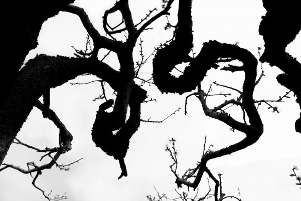 3a275b1cbdb1d18e177524b7552a5bfe_1739163795_95.jpg