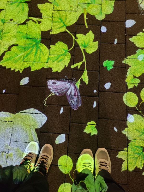 aabbb8730e094bcc7b110f3c352083a4_1756383902_25.jpg