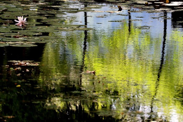 3e7cebd3dd8695a3a9bd869c591dd9c9_1778747138_12.jpeg